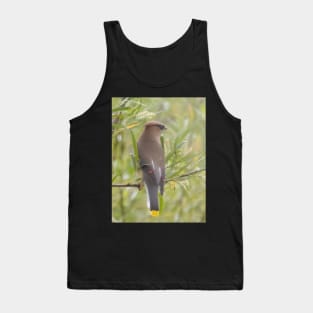 Cedar Waxwing in a tree Tank Top